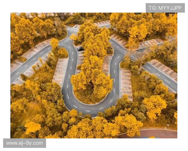 以和平足球公园枫叶景致为核心打造城市秋色休闲魅力文旅新地标